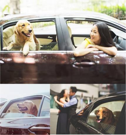 一仆二主思锐车主点赞幸福车生活