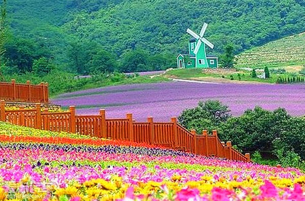 ¼ӢϸҰж֮Ѱζ֮
