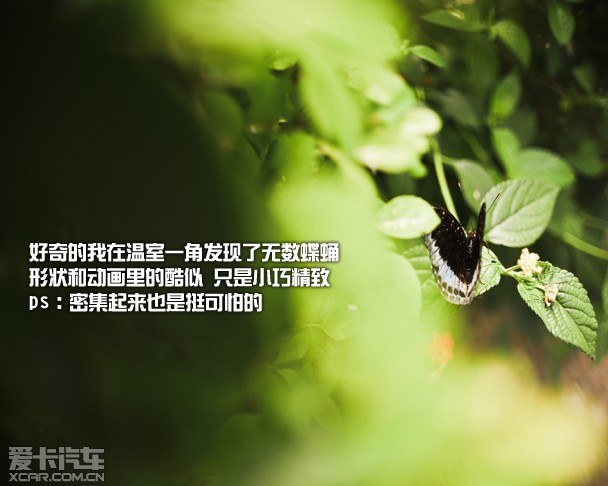 ֵѰ-ֶXC60ŵ֮·2