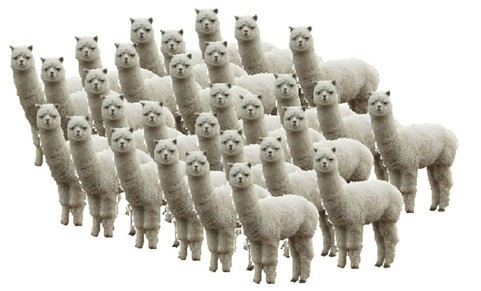 叶良辰竟然找我.