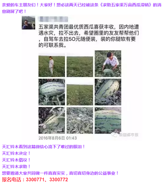 天汇铃木邀您救助瓜农 公益活动招募中