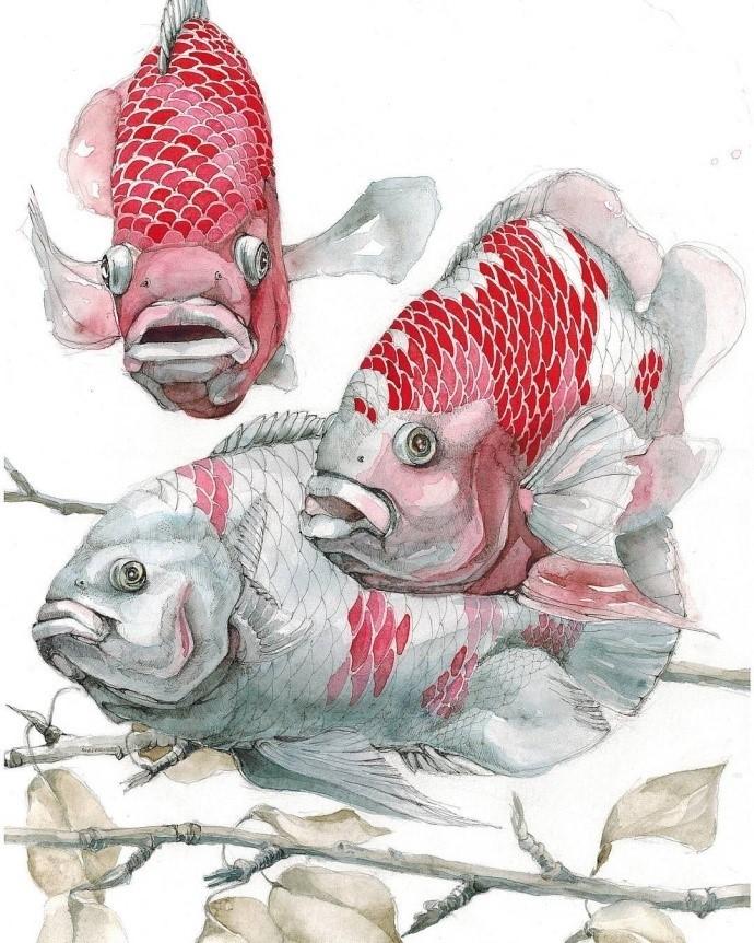 设计大师# 鱼| ins画师 rogojnikova.maria