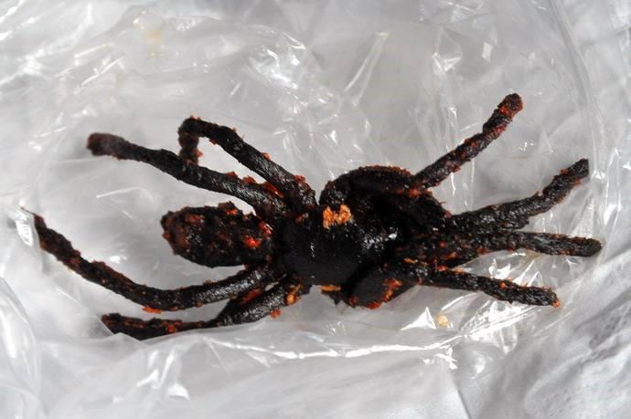 #全球最奇特的食物#炸蜘蛛,如果吃过了燕子口水筑成的巢,是不是有点胆