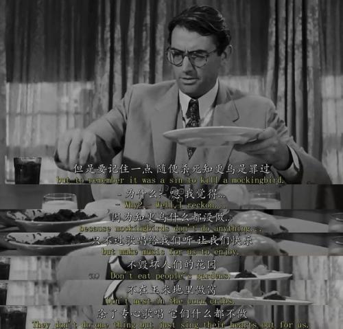 电影安利杀死一只知更鸟格里高利派克主演的经典影片他扮演一名南方