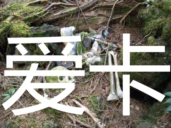 世界上七大诡异禁忌之地-爱卡汽车网论坛