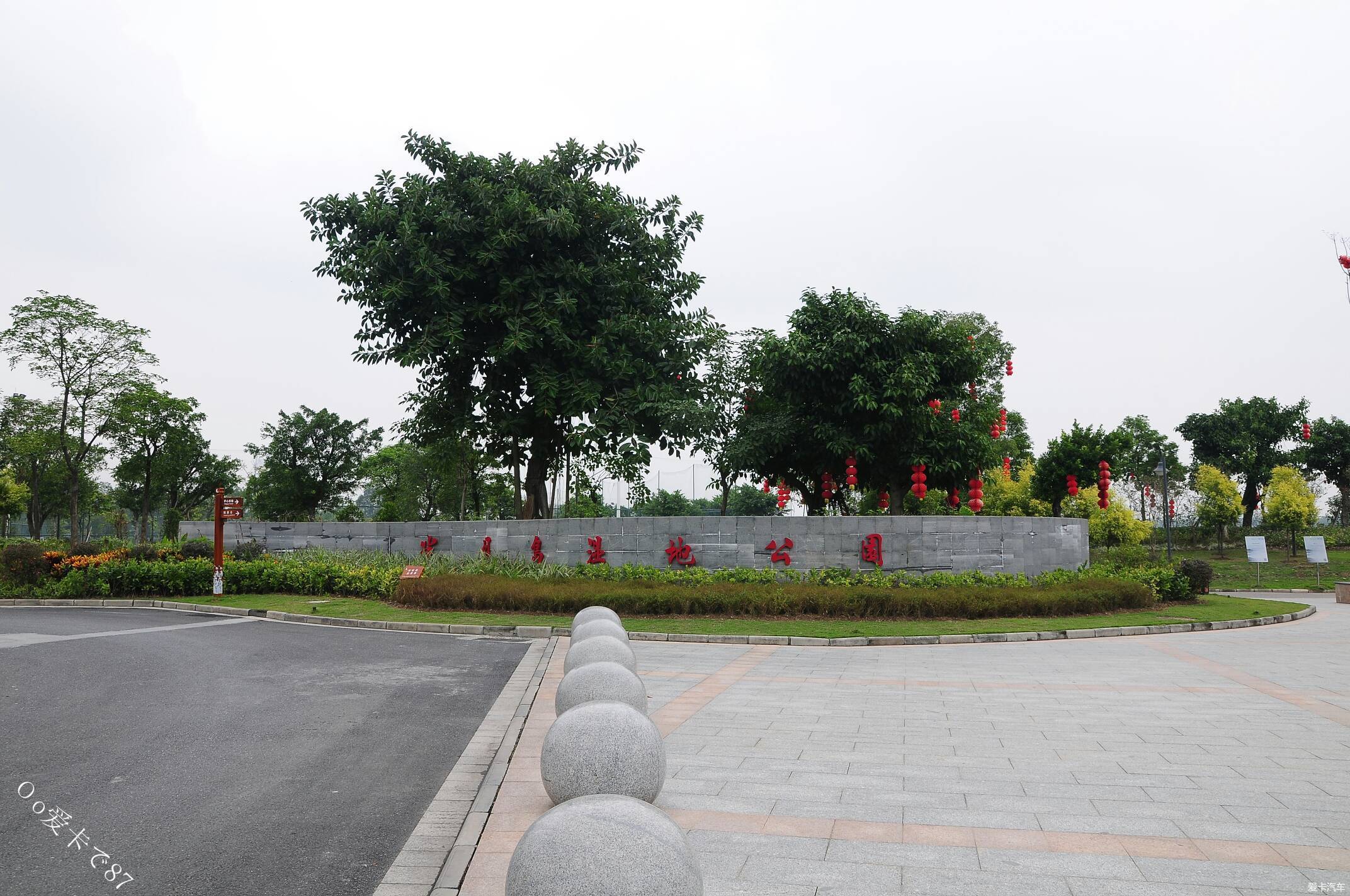 半月岛湿地公园放牛记