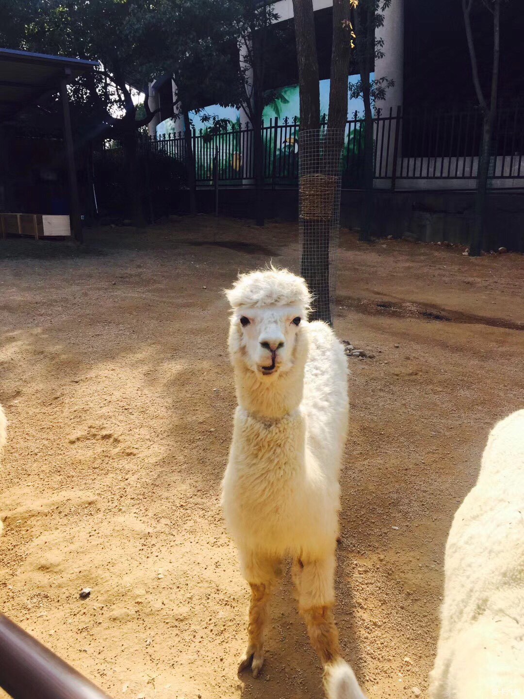 人在囧途传说中的曹尼玛