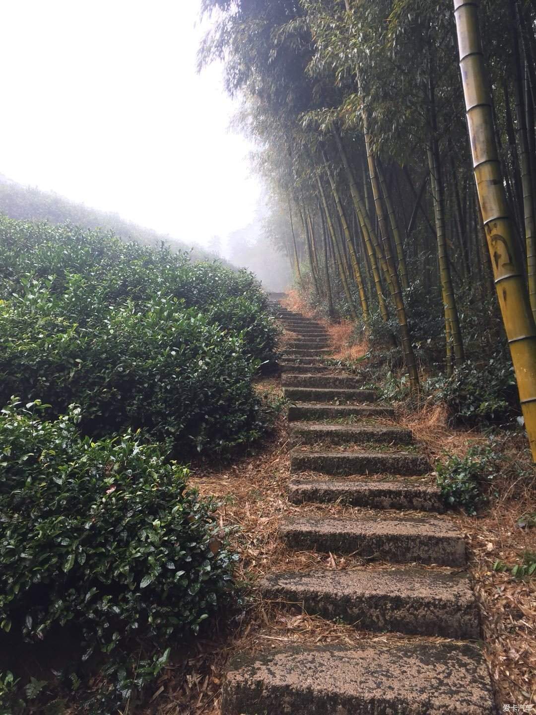 茶道源於此——徑山寺