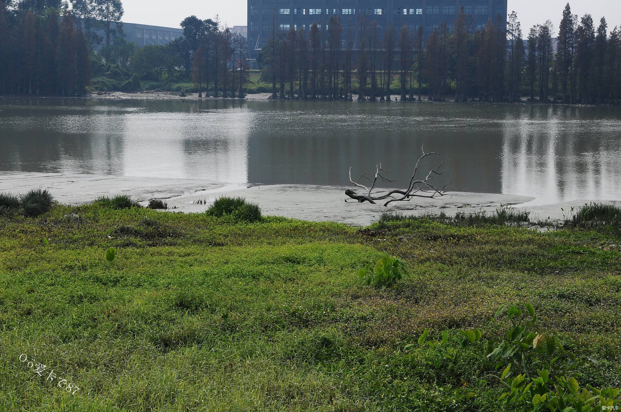 周末不窝家环游里水贤鲁岛
