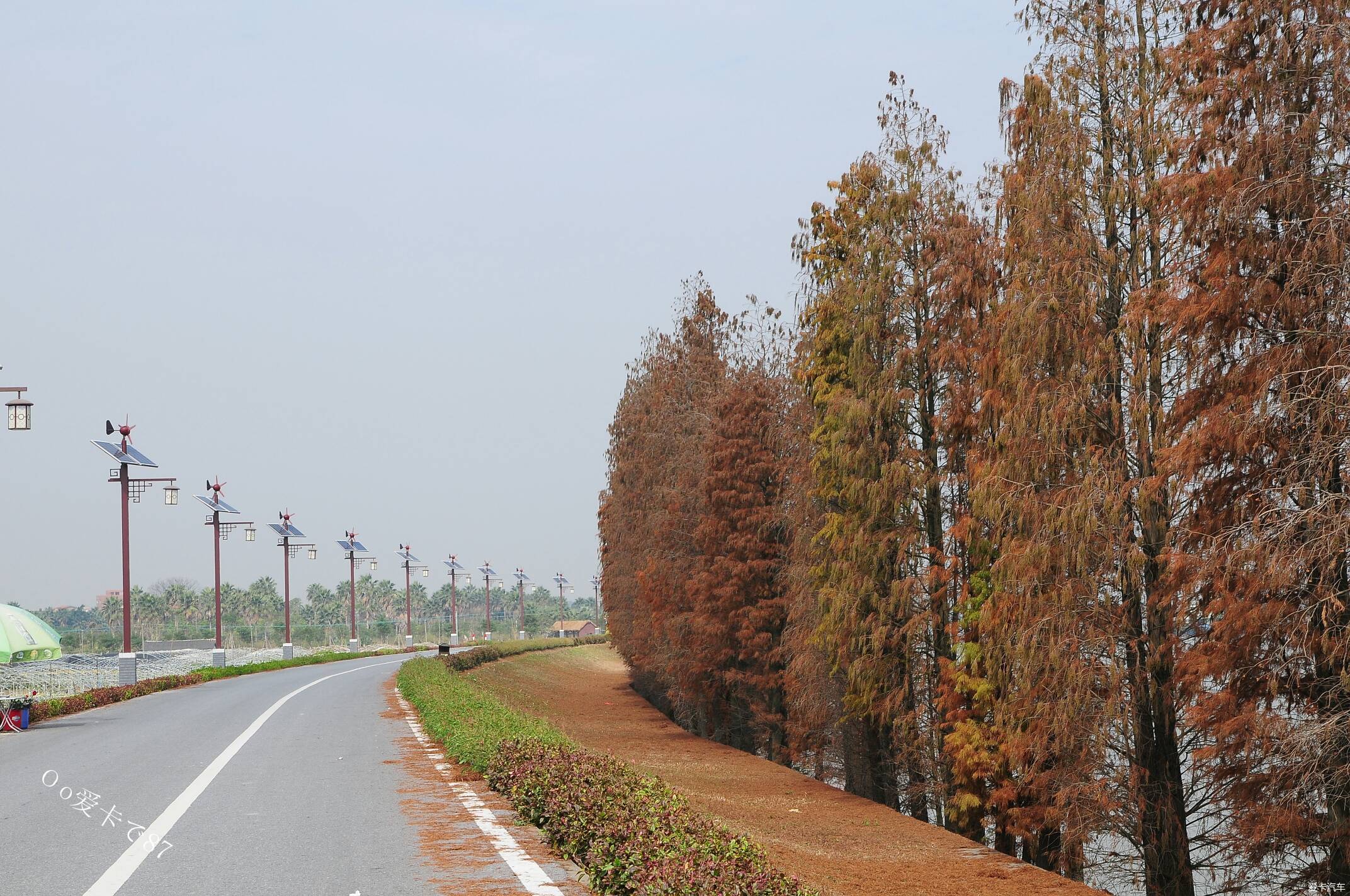 周末不窝家环游里水贤鲁岛