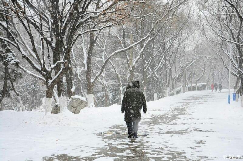 #踏雪#风雪南山