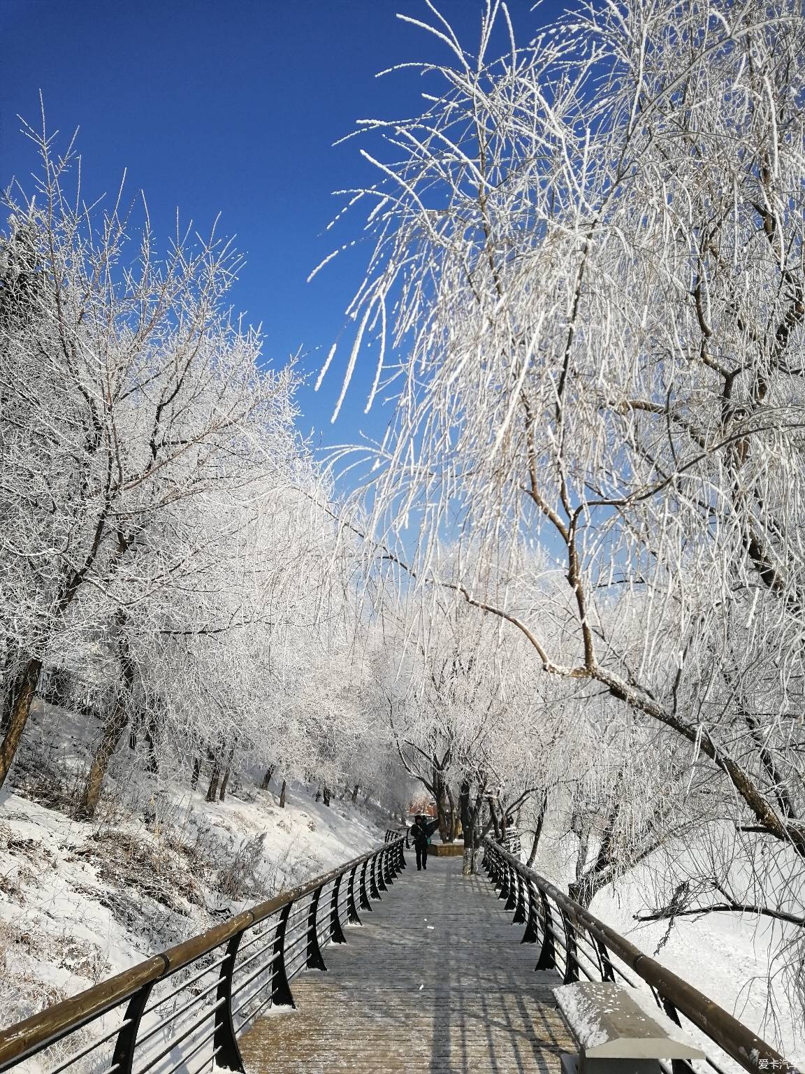 天儿太热,来几张凉快的照片.