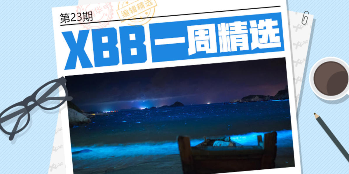 #XBB一周精选# 第23期