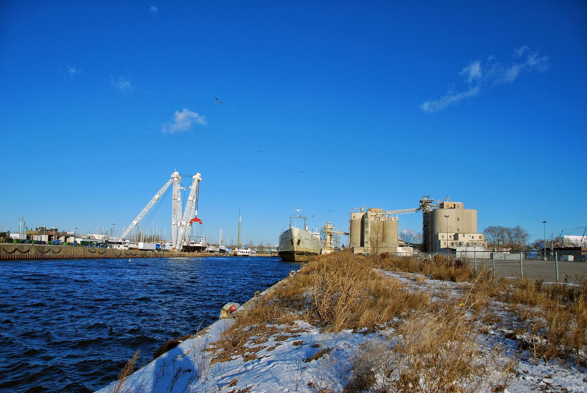 随手拍冬日多伦多港
