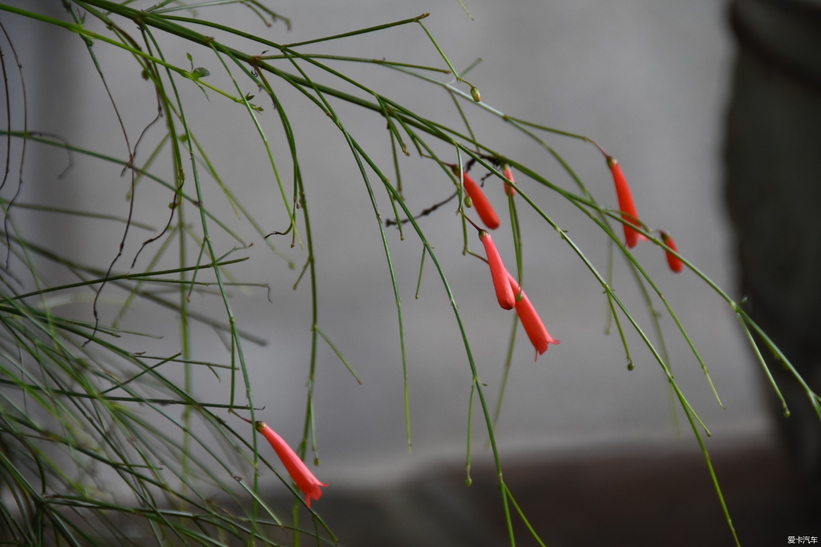 xbb专享十香园一游