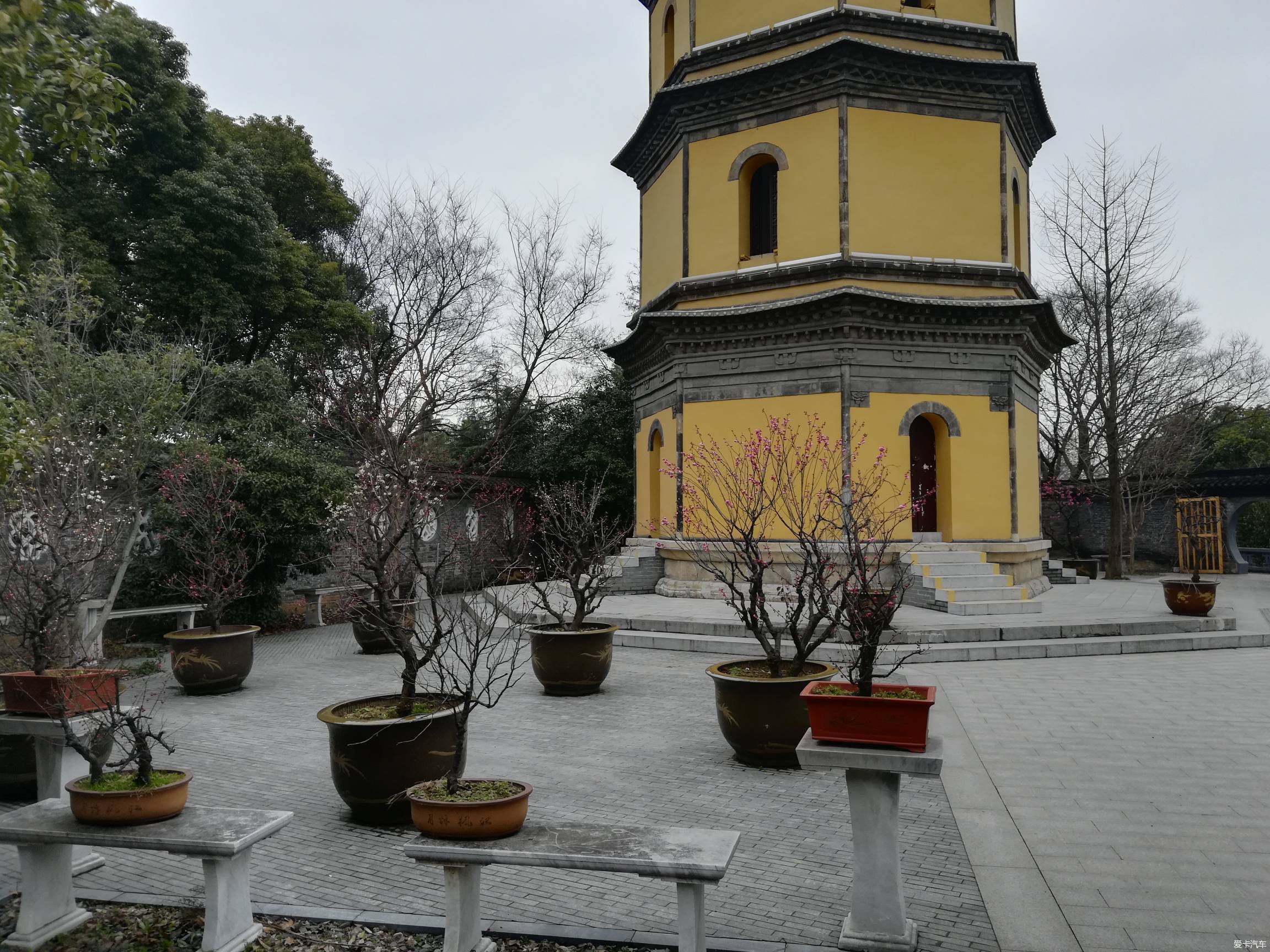 宝塔山公园看梅花#-xbb车迷社区
